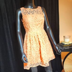 BB DAKOTA Peach Lace Fit And Flare Dress Size 2